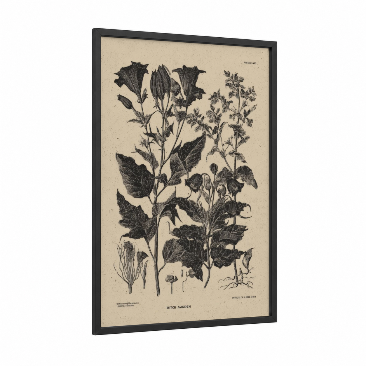Witch Garden framed magic and witchcraft print — black wood frame — black and white and cream palette