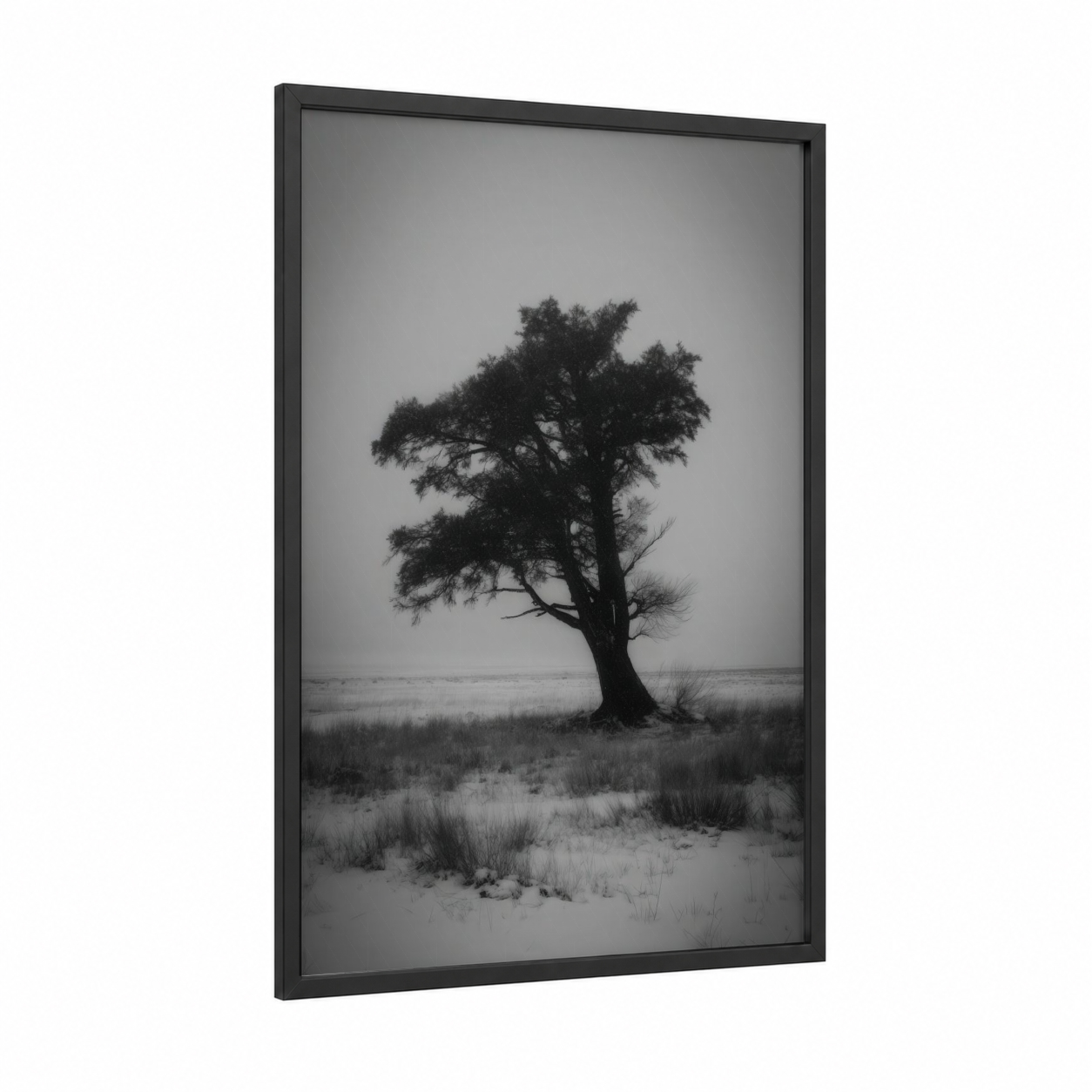 Solitary Cedar framed cedar tree print — black wood frame — black and white and gray palette