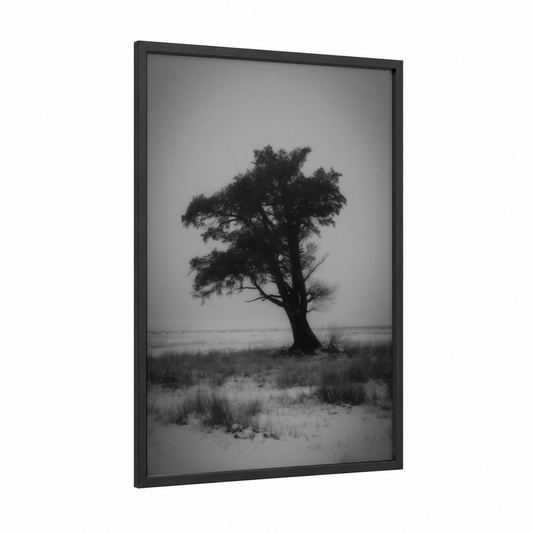 Solitary Cedar framed cedar tree print — black wood frame — black and white and gray palette