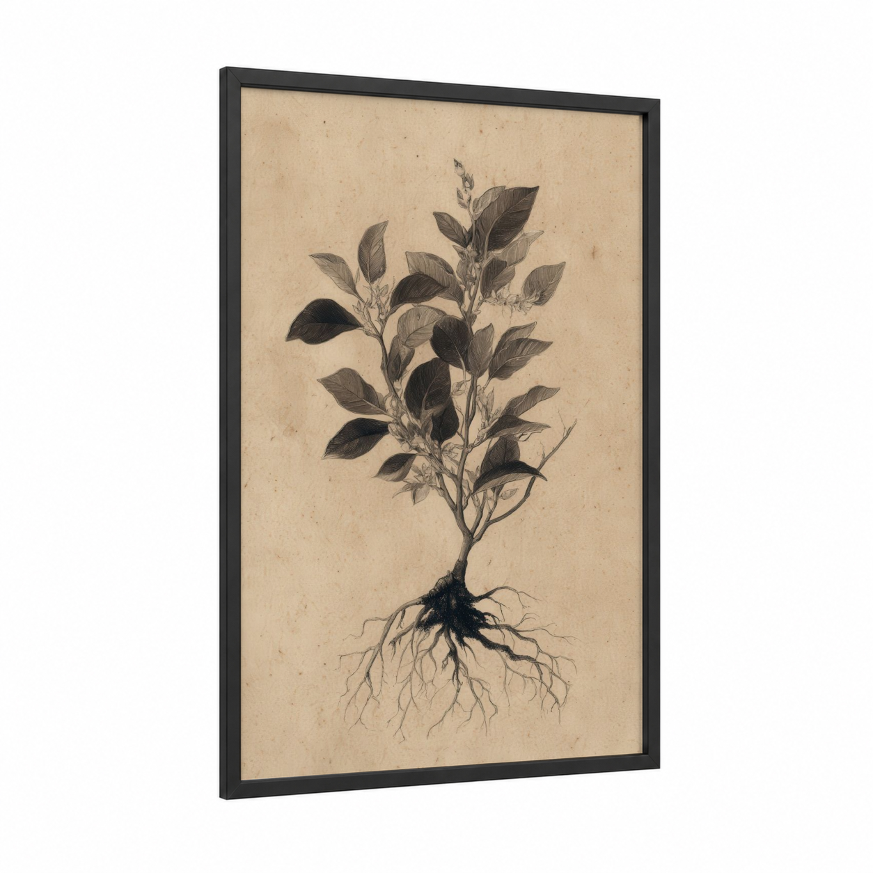 Botanical Banyan framed banyan tree print — black wood frame — black and white and beige palette