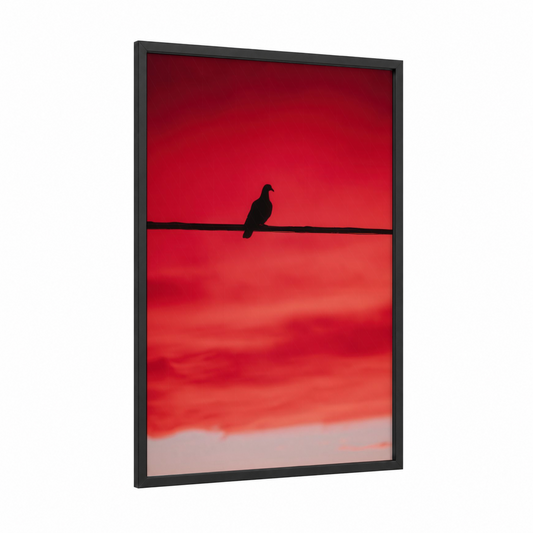 Crimson Pigeon framed art print — black wood frame — red and rose gold palette