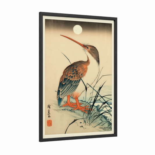 Moonlit Kiwi framed art print — black wood frame — cream and teal palette
