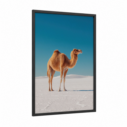 Desert Camel Portrait framed art print — black wood frame — turquoise and cream palette