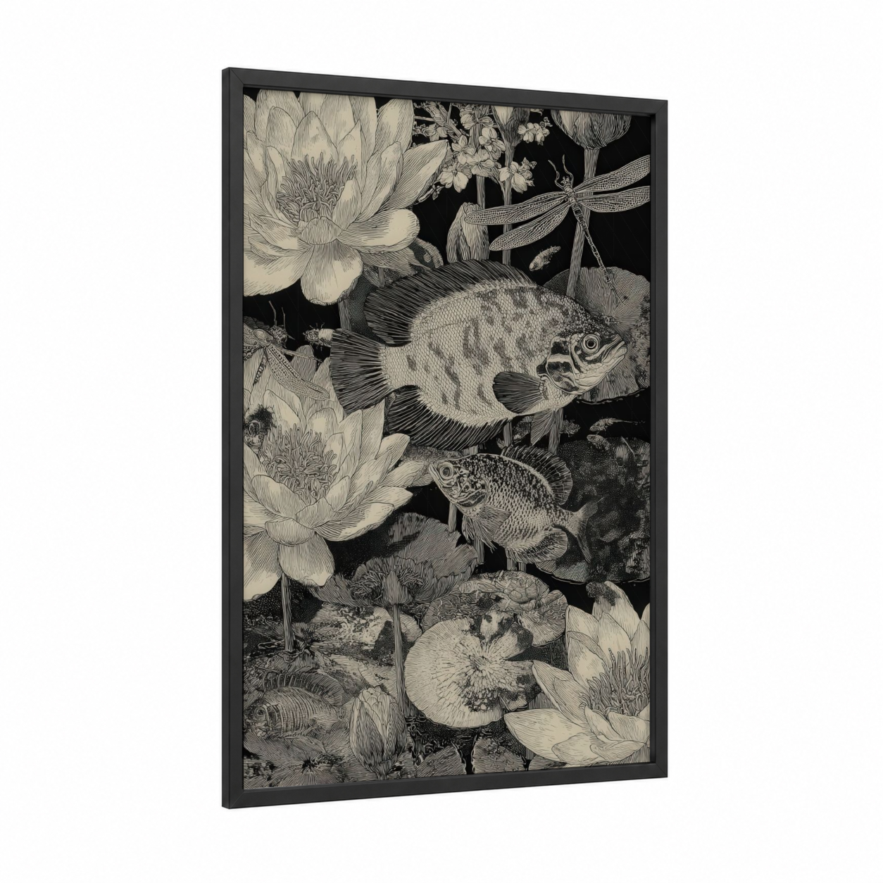 Lotus Discus Pair framed discus fish print — black wood frame — black and white palette