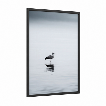 Solitary Seagull framed art print — black wood frame — gray and white palette