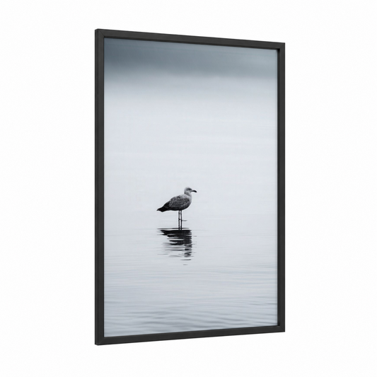 Solitary Seagull framed art print — black wood frame — gray and white palette