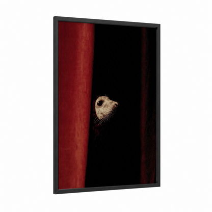 Curious Seal framed art print — black wood frame — maroon and black palette