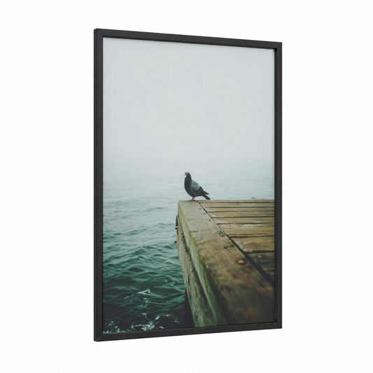 Solitary Pigeon framed art print — black wood frame — dove gray and blue and gray palette