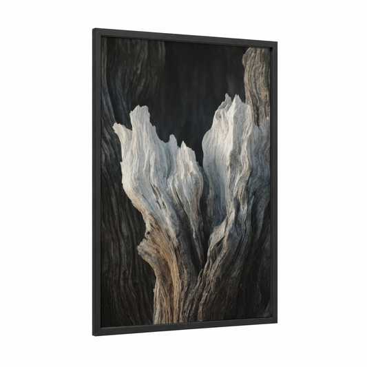 Weathered Desert Trees framed savanna and desert trees print — black wood frame — black and white and gray palette