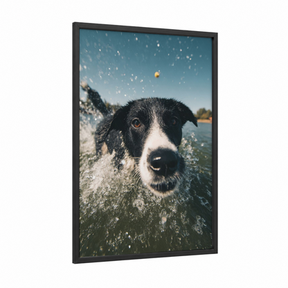 Playful Water Dog framed swimming print — black wood frame — blue and white and gold palette