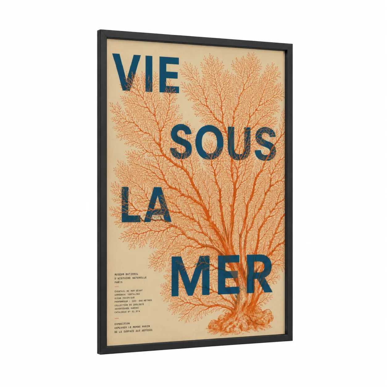 Coral Tree French Typography Wall Art framed art print — black wood frame — orange and blue palette