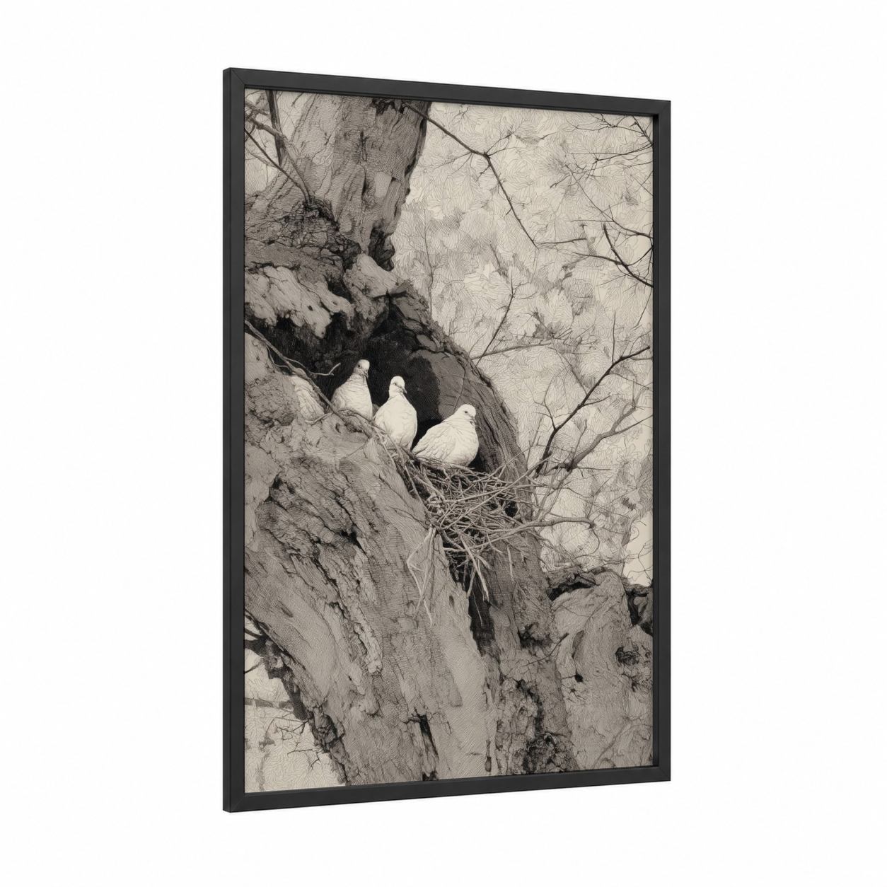 Clifftop Doves framed art print — black wood frame — black and white palette