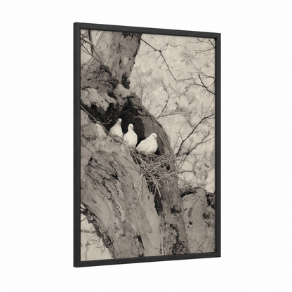 Clifftop Doves framed art print — black wood frame — black and white palette