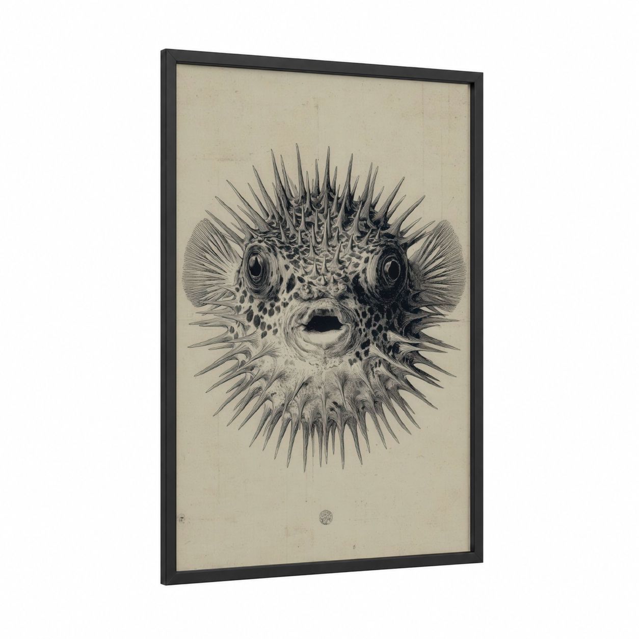 Spiky Puffer Fish framed art print — black wood frame — black and white palette