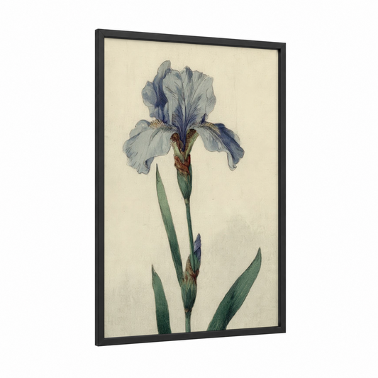 Blue Iris Botanical framed art print — black wood frame — blue and cream palette