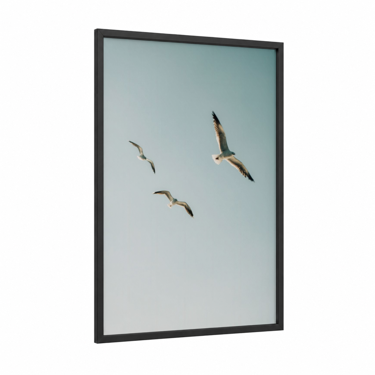 Soaring Seagulls framed art print — black wood frame — blue and white and dove gray palette