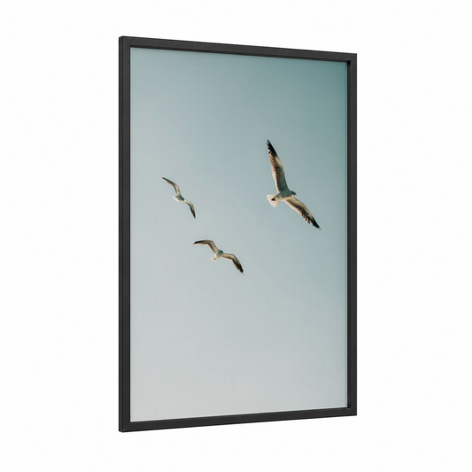 Soaring Seagulls framed art print — black wood frame — blue and white and dove gray palette