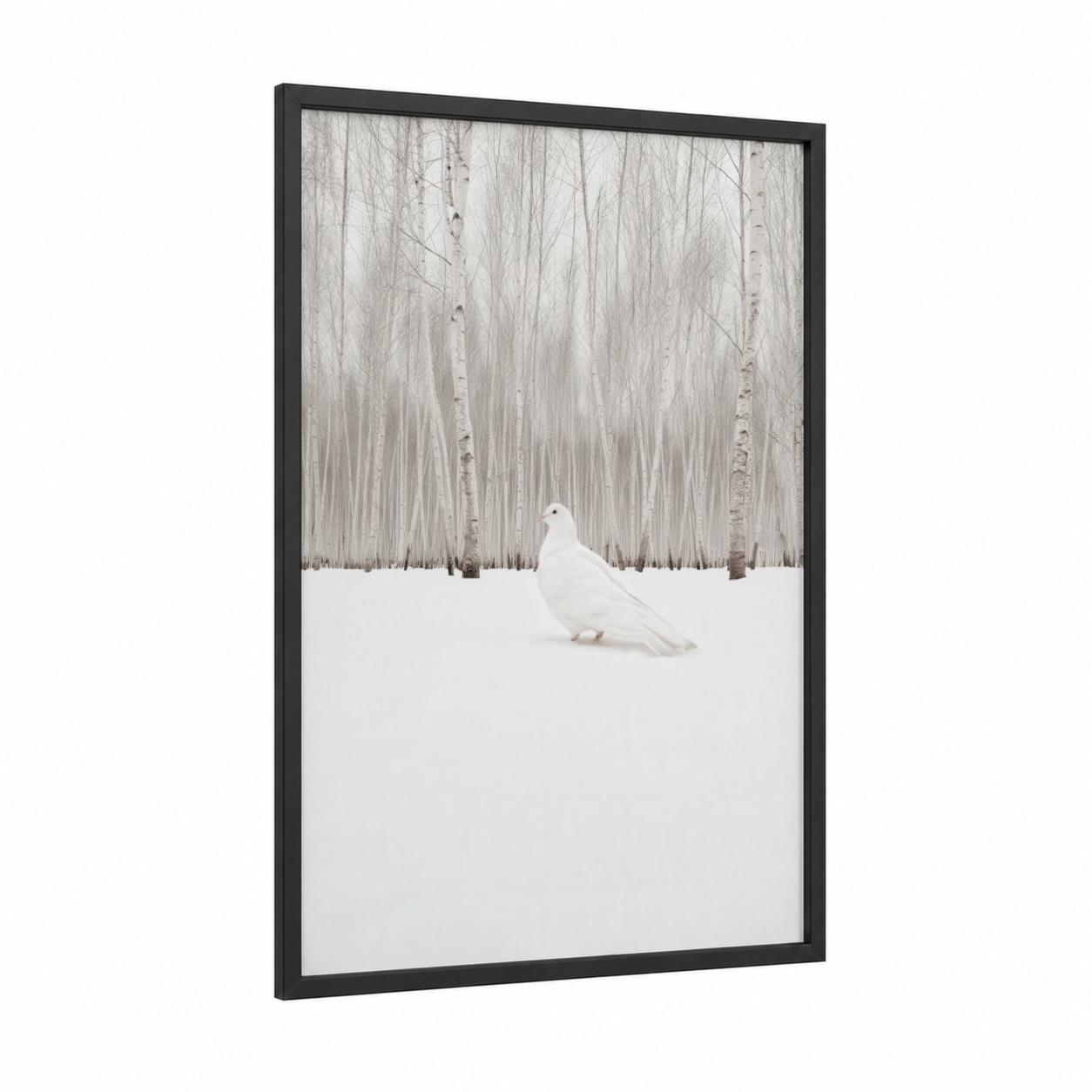 Winter Dove framed art print — black wood frame — white and gray palette