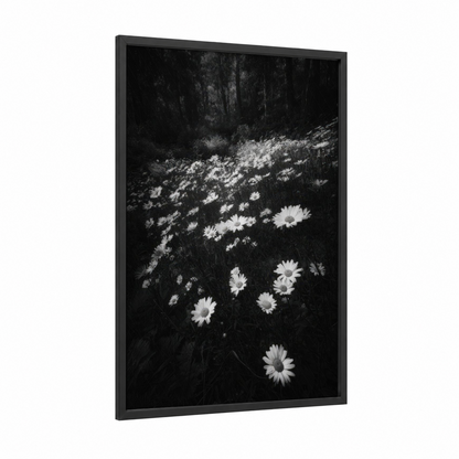 Forest Daisy Field framed art print — black wood frame — black and white and gray palette