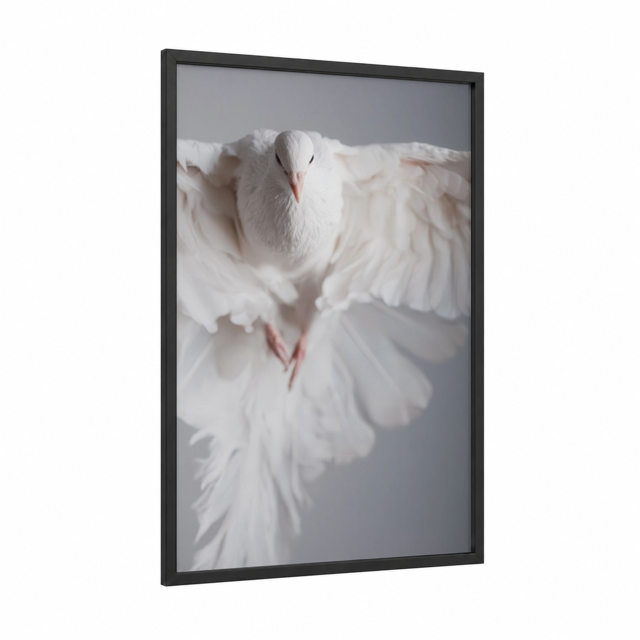Ascending White Pigeon framed art print — black wood frame — white and gray palette