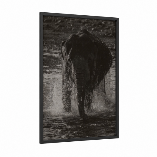 Charging Elephant framed asian elephant print — black wood frame — black and white palette