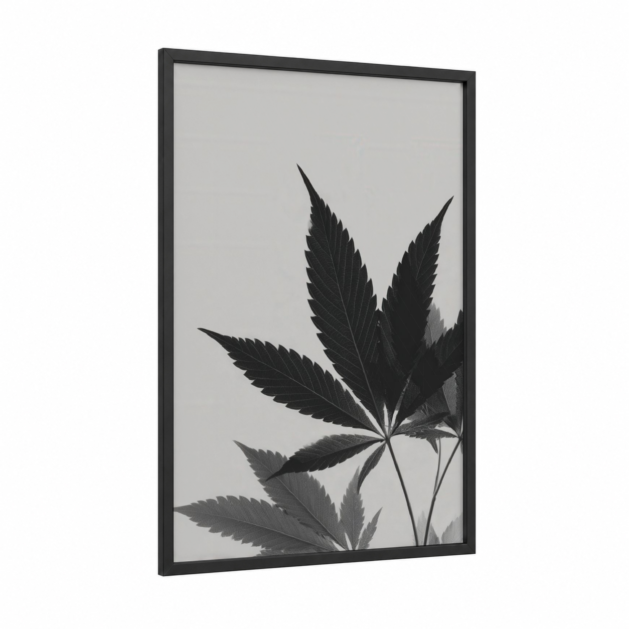 Minimalist Cannabis framed marijuana print — black wood frame — black and white and gray palette