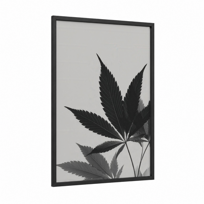Minimalist Cannabis framed marijuana print — black wood frame — black and white and gray palette