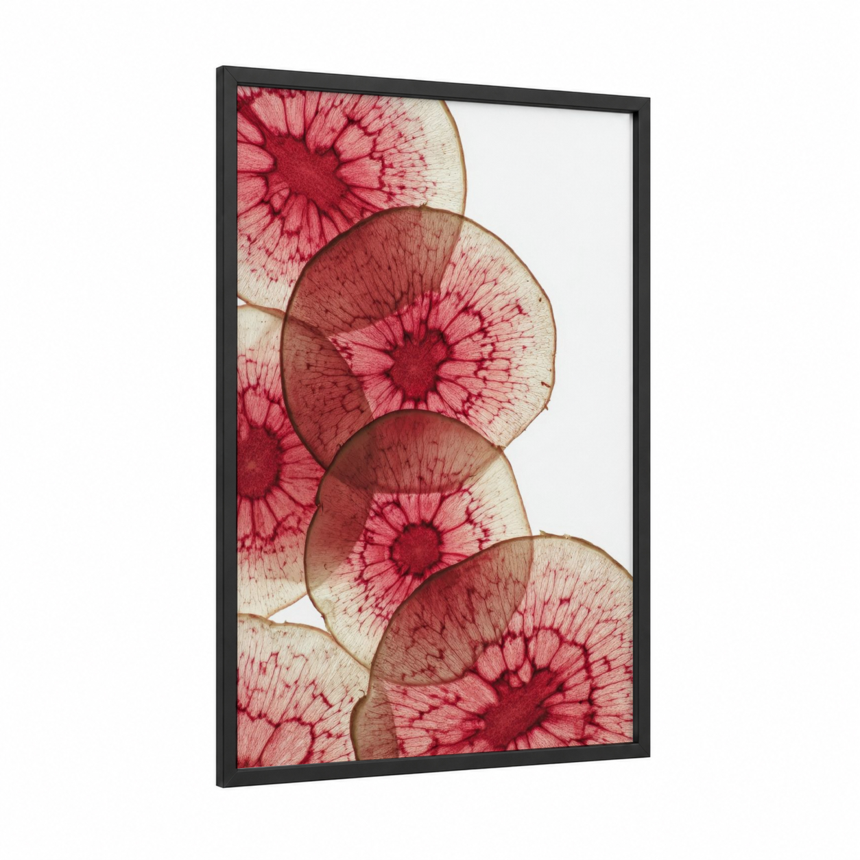 Red Radish Slices framed vegetable print — black wood frame — red and cream palette