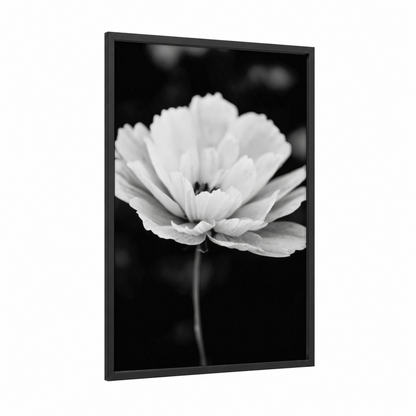 Monochrome Bloom framed abstract flower print — black wood frame — black and white palette