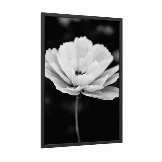 Monochrome Bloom framed abstract flower print — black wood frame — black and white palette
