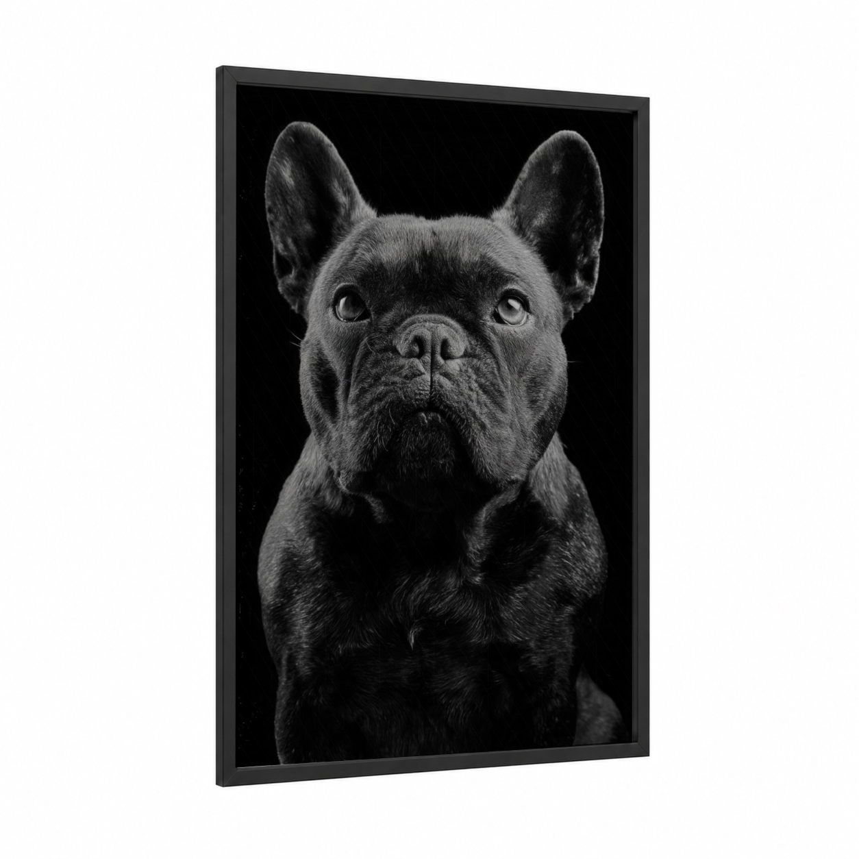 Noble Bulldog framed art print — black wood frame — black and white palette