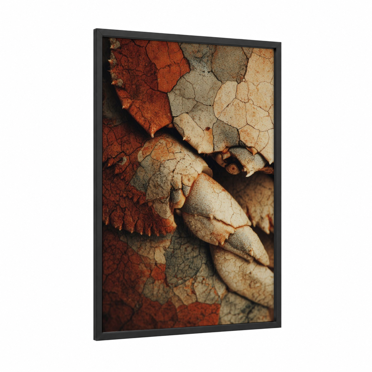 Russet Crab Close-Up framed art print — black wood frame — russet and cream palette