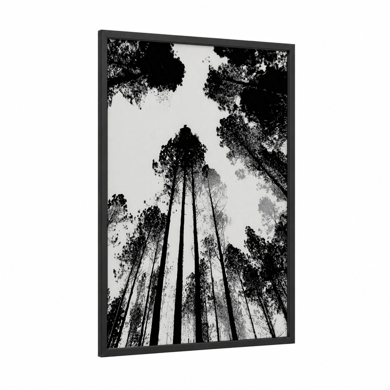 Skyward Pines framed pine forest print — black wood frame — black and white palette