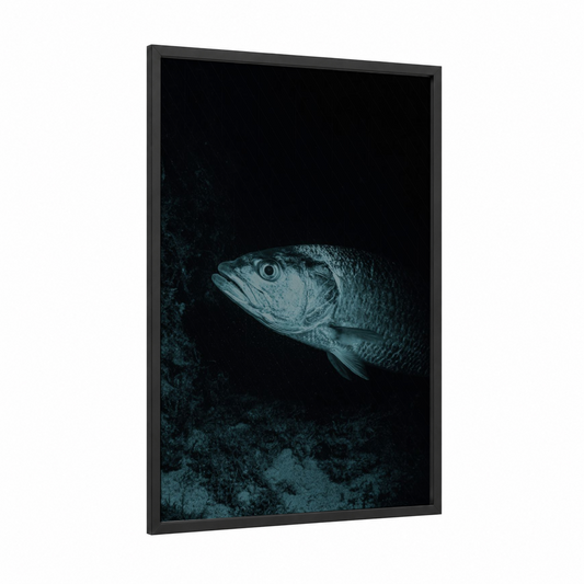 Deep Sea Tarpon framed art print — black wood frame — black and white and dark blue palette