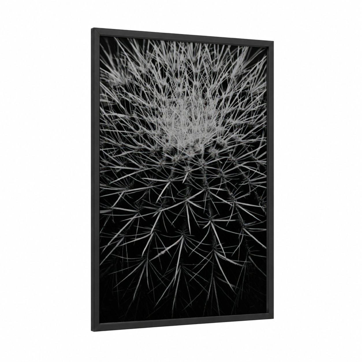 Dandelion Silhouette framed cactus print — black wood frame — black and white palette