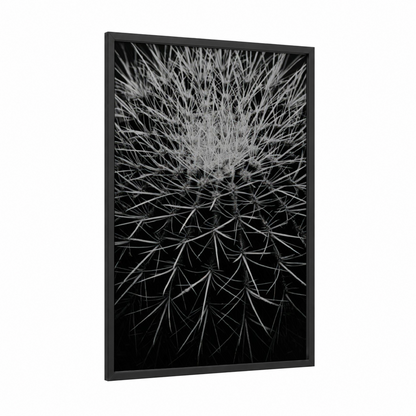 Dandelion Silhouette framed cactus print — black wood frame — black and white palette
