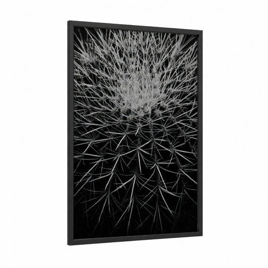 Dandelion Silhouette framed cactus print — black wood frame — black and white palette