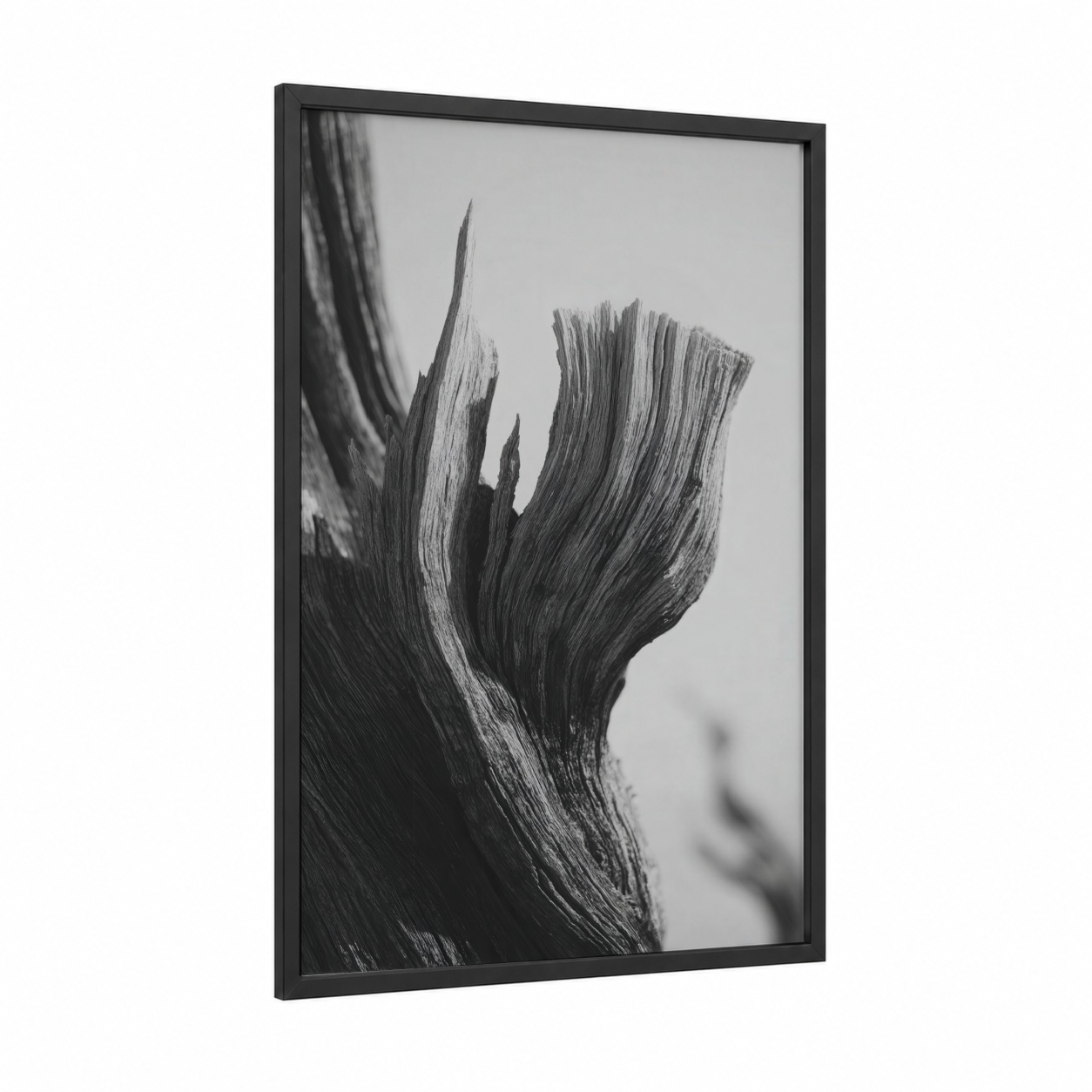 Desert Tree Study framed savanna and desert trees print — black wood frame — black and white and gray palette