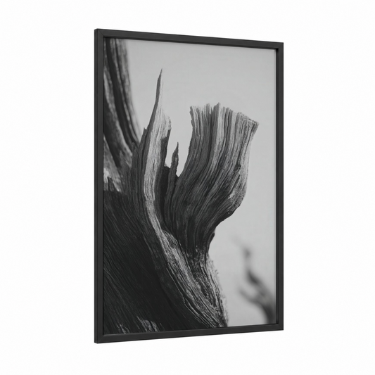 Desert Tree Study framed savanna and desert trees print — black wood frame — black and white and gray palette