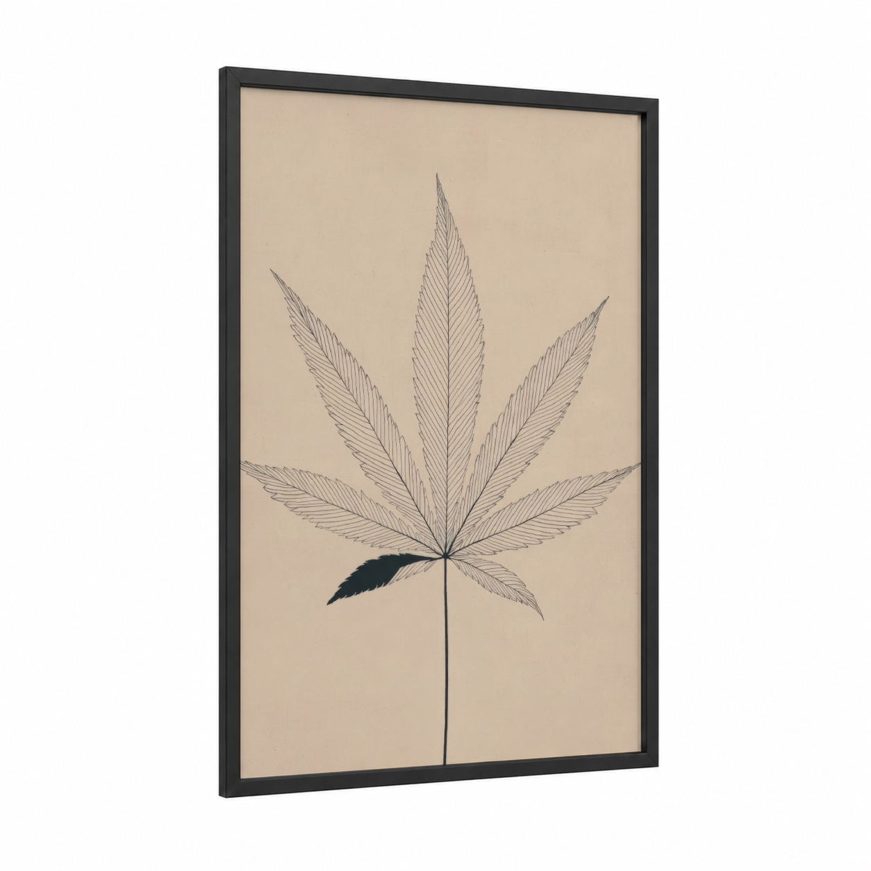 Botanical Cannabis framed marijuana print — black wood frame — beige and black palette