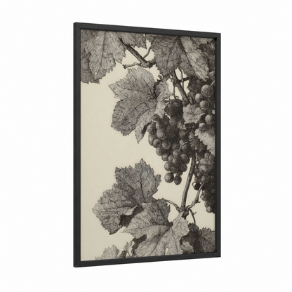 Vineyard Harvest framed vineyards print — black wood frame — black and white palette