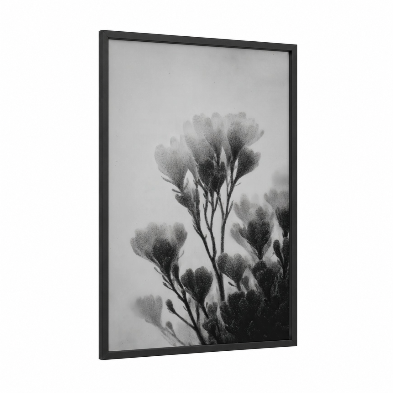 Ethereal Succulent framed art print — black wood frame — black and white and gray palette