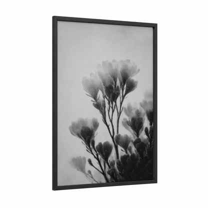 Ethereal Succulent framed art print — black wood frame — black and white and gray palette
