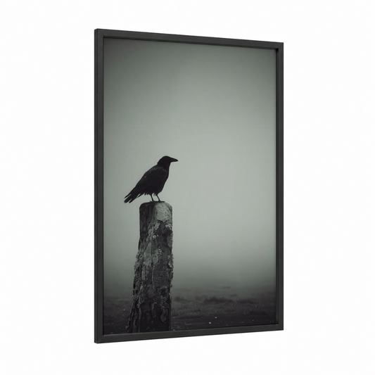 Solitary Raven framed crows and ravens print — black wood frame — black and white and gray palette