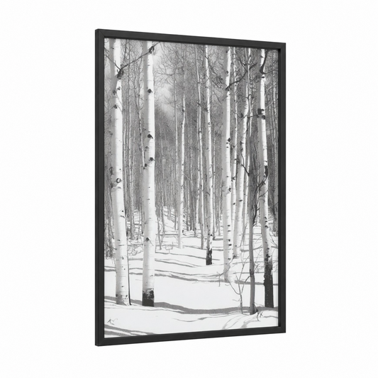 Snowy Aspen Grove framed aspen forest print — black wood frame — black and white and gray palette