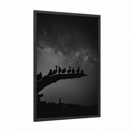 Starlit Pelicans framed art print — black wood frame — black and white and gray palette