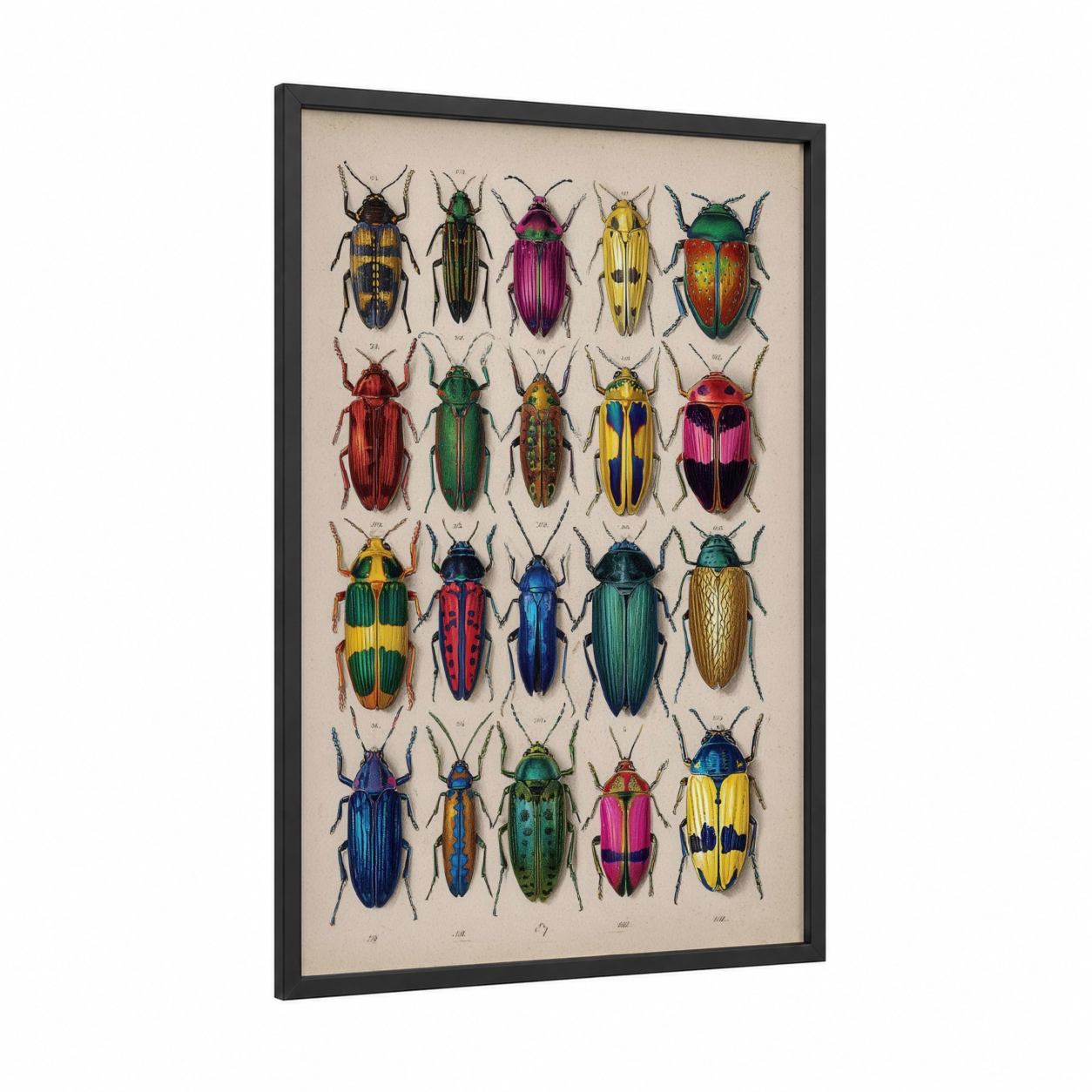 Colorful Beetle Collection framed art print — black wood frame — gold palette