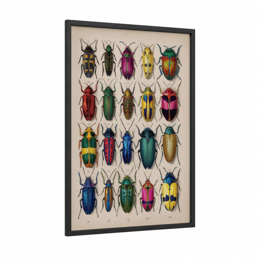 Colorful Beetle Collection framed art print — black wood frame — gold palette