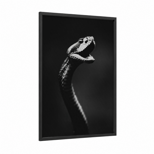 Striking Rattlesnake framed art print — black wood frame — black and white palette