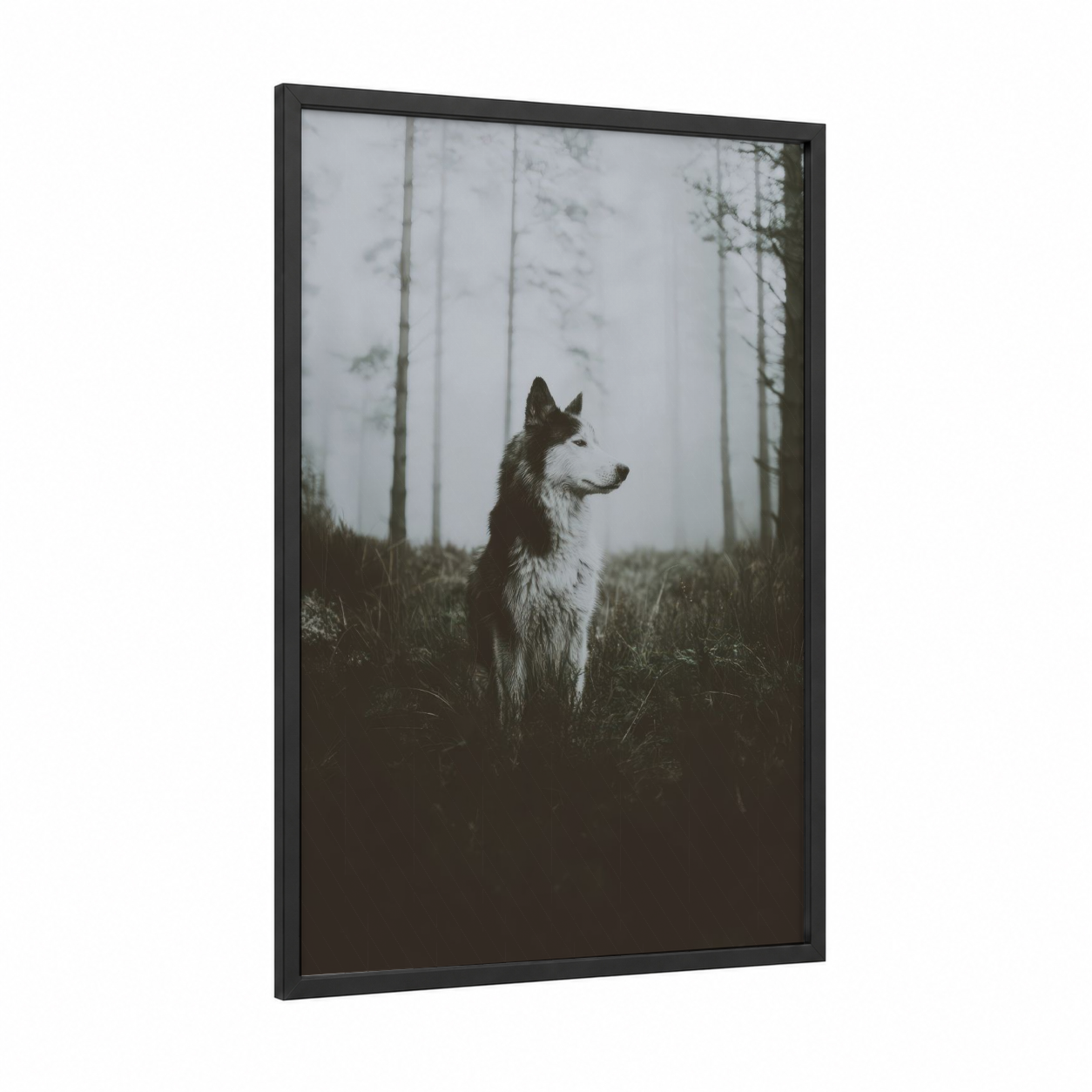 Misty Forest Husky framed art print — black wood frame — black and white and dove gray palette